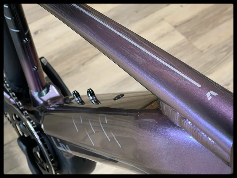 Liv Thrive E+ EX Pro 25km/h Small Echeveria 2022-2